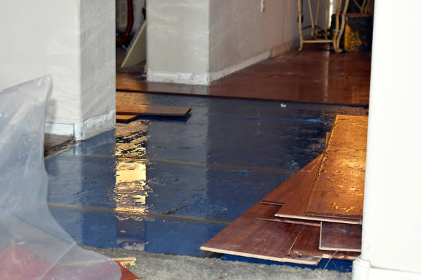 Professional Basement Flood Cleanup technician working in Bridgeport, AL